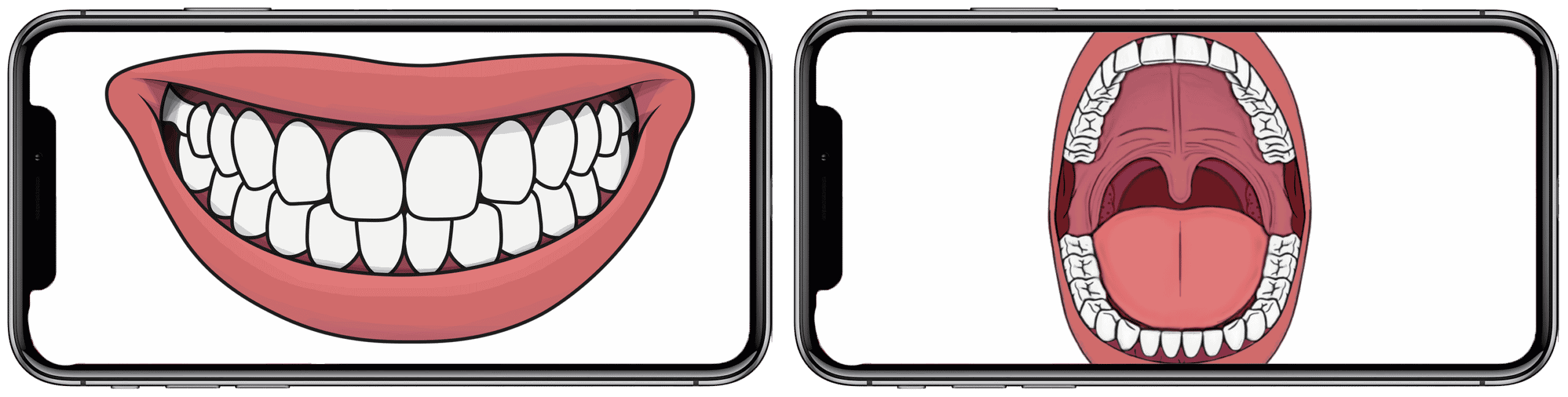 Mouth Diagams Phone Frames